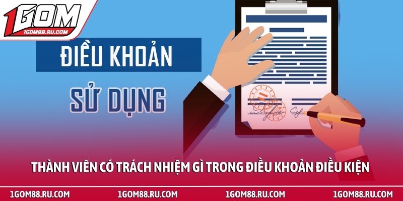 Điều Khoản Điều Kiện 2 Thành viên có trách nhiệm gì trong điều khoản điều kiện
